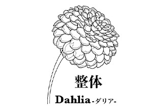 整体Dahlia-ダリア-