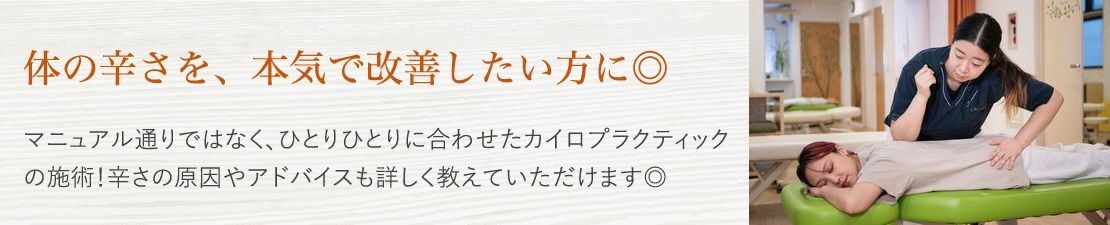 体験レポート　イメージ画像