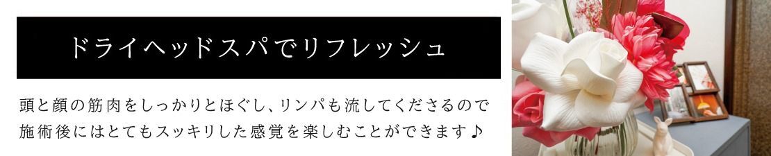体験レポート　イメージ画像