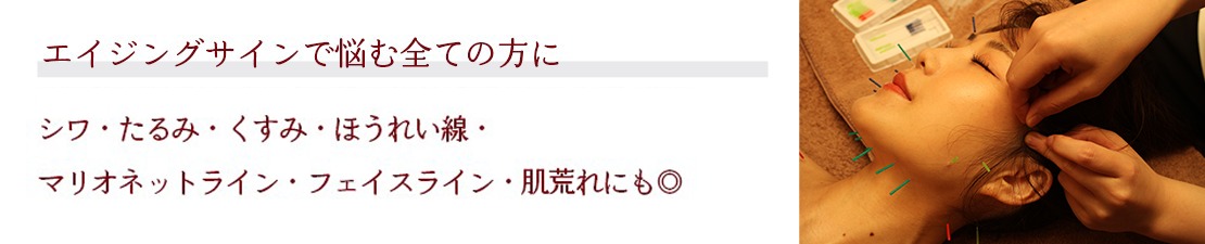 体験レポート　イメージ画像