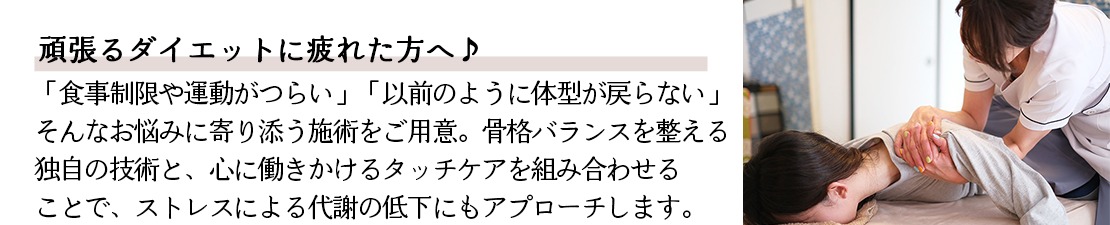 体験レポート　イメージ画像