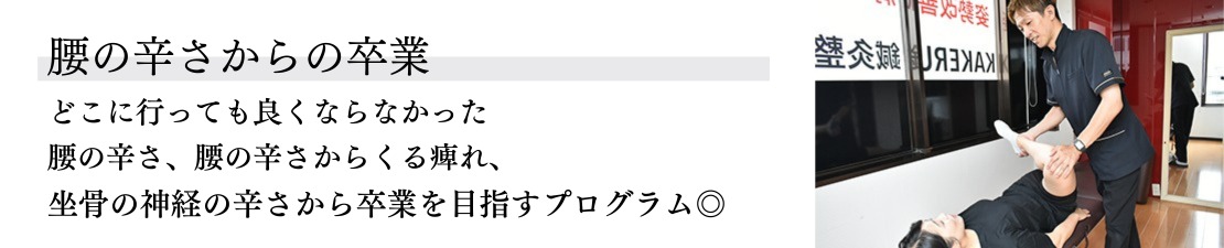 体験レポート　イメージ画像