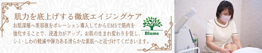 体験レポート　イメージ画像