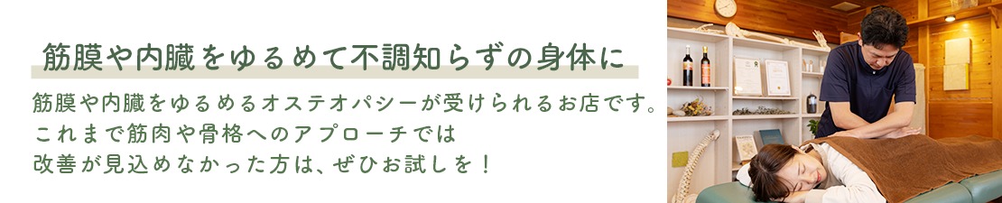 体験レポート　イメージ画像