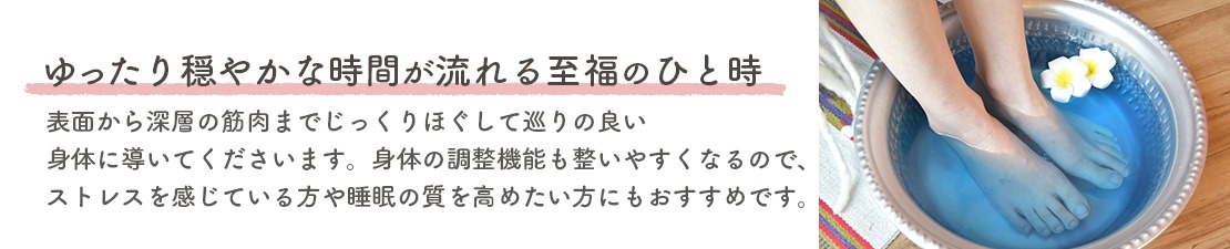 体験レポート　イメージ画像