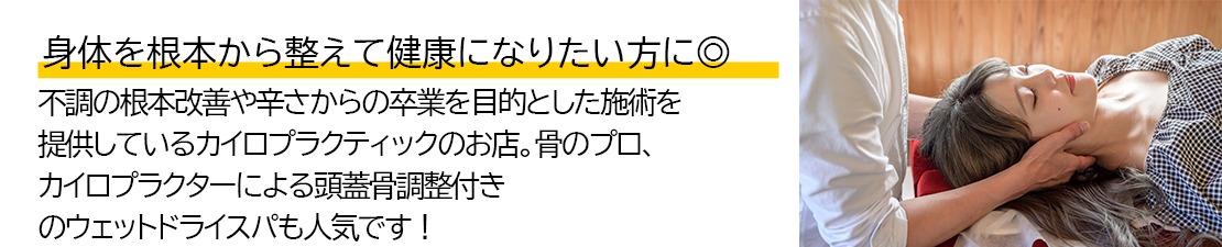 体験レポート　イメージ画像