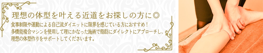 体験レポート　イメージ画像