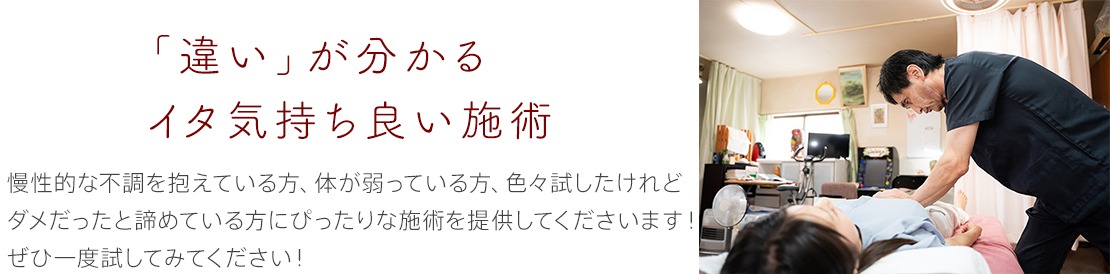 体験レポート　イメージ画像