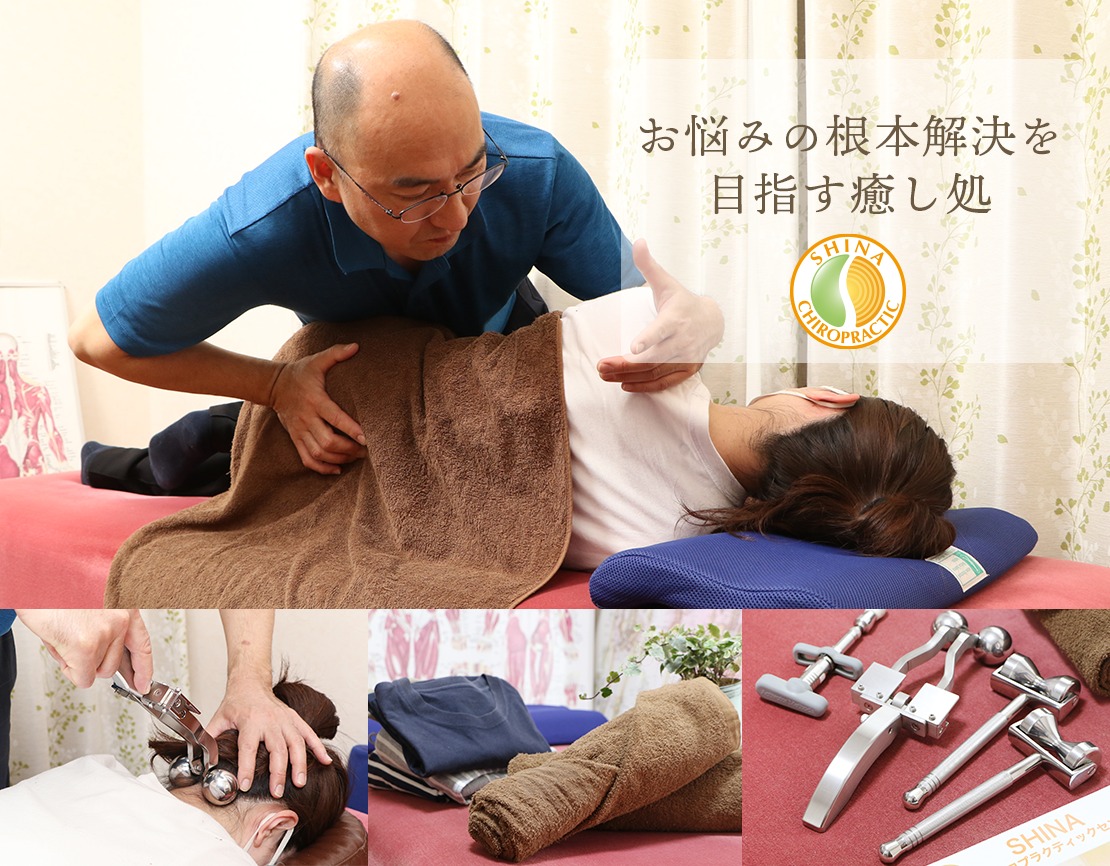 レア】サブラクセーションパネル カイロプラクティック/整体