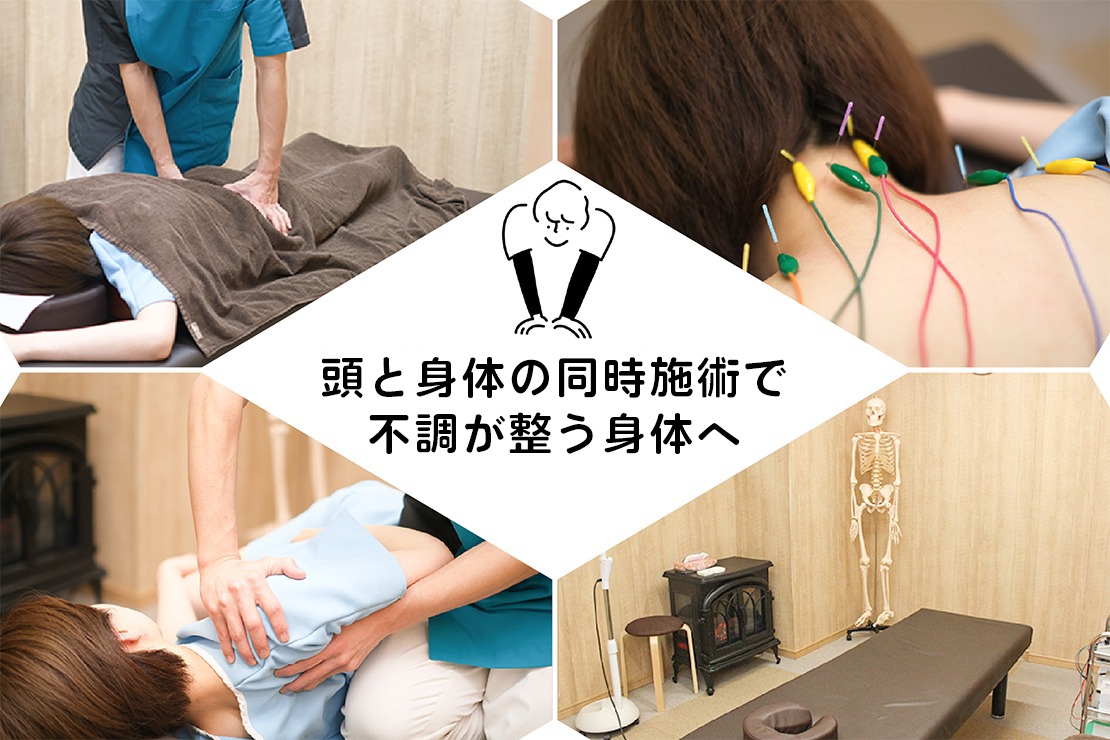 ハリとセイタイのメイン画像