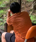 柴田