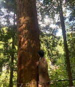 しん(経験年数10年)