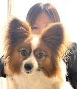 Sakoma