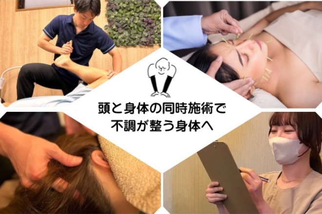 ハリとセイタイ