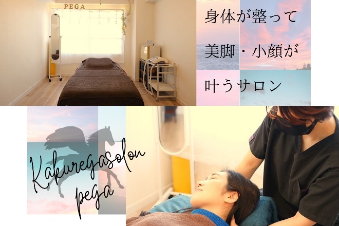 カクレガサロン ペガ